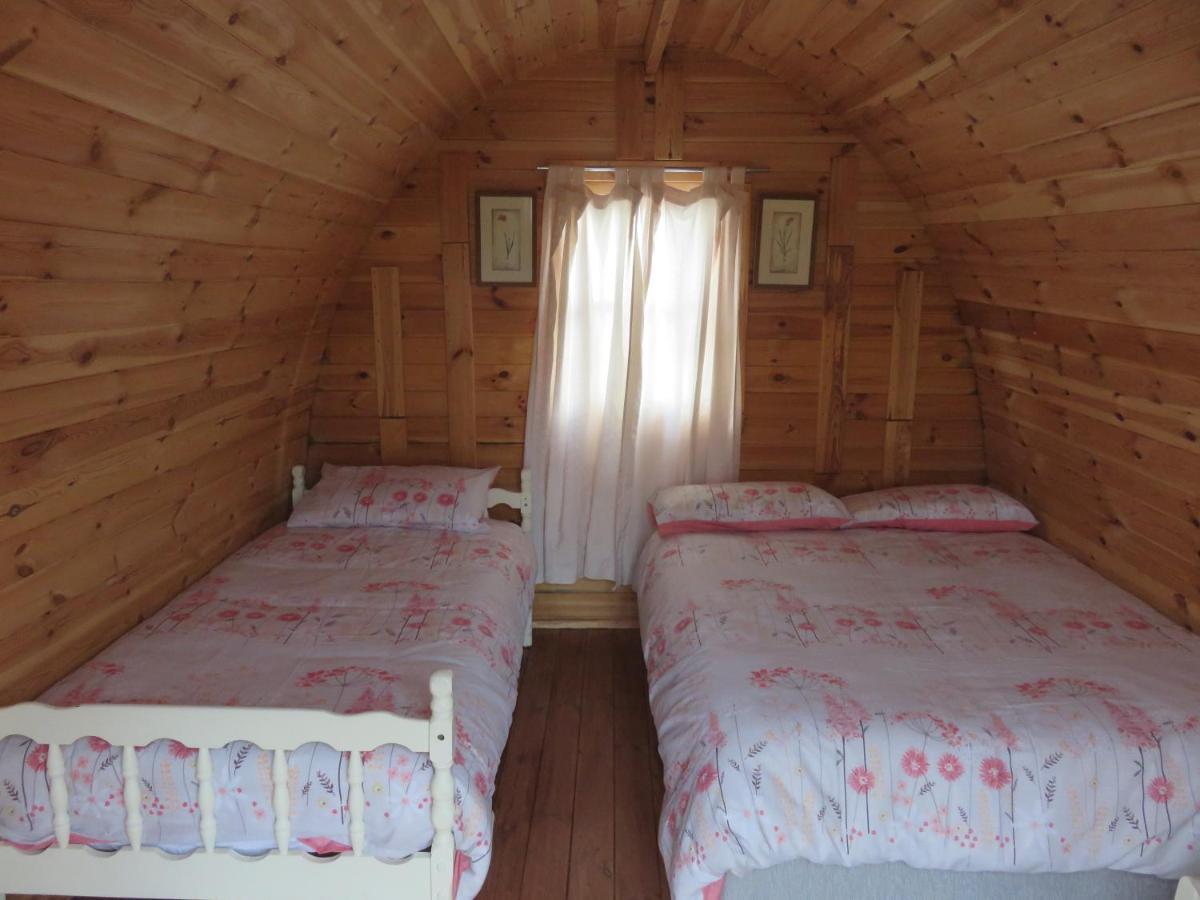 Shannon Estuary Glamping Effernan المظهر الخارجي الصورة