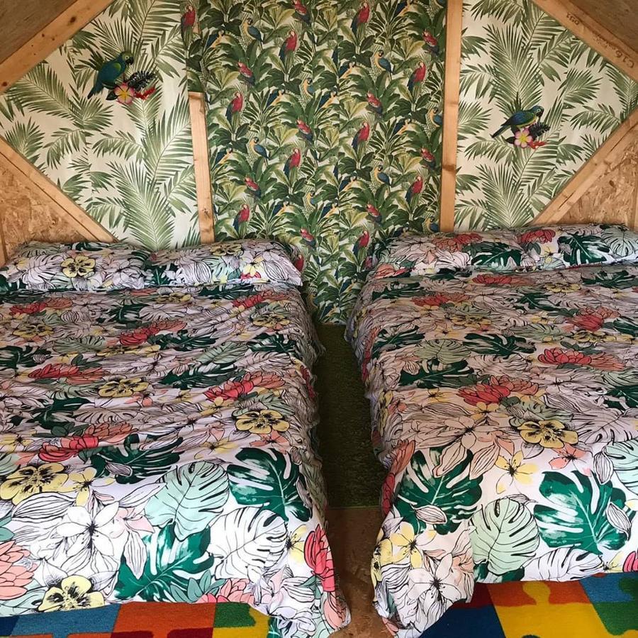 Shannon Estuary Glamping Effernan المظهر الخارجي الصورة