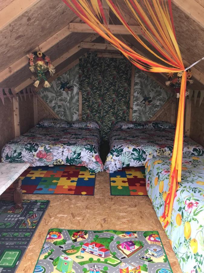 Shannon Estuary Glamping Effernan المظهر الخارجي الصورة