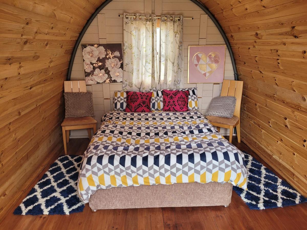 Shannon Estuary Glamping Effernan المظهر الخارجي الصورة