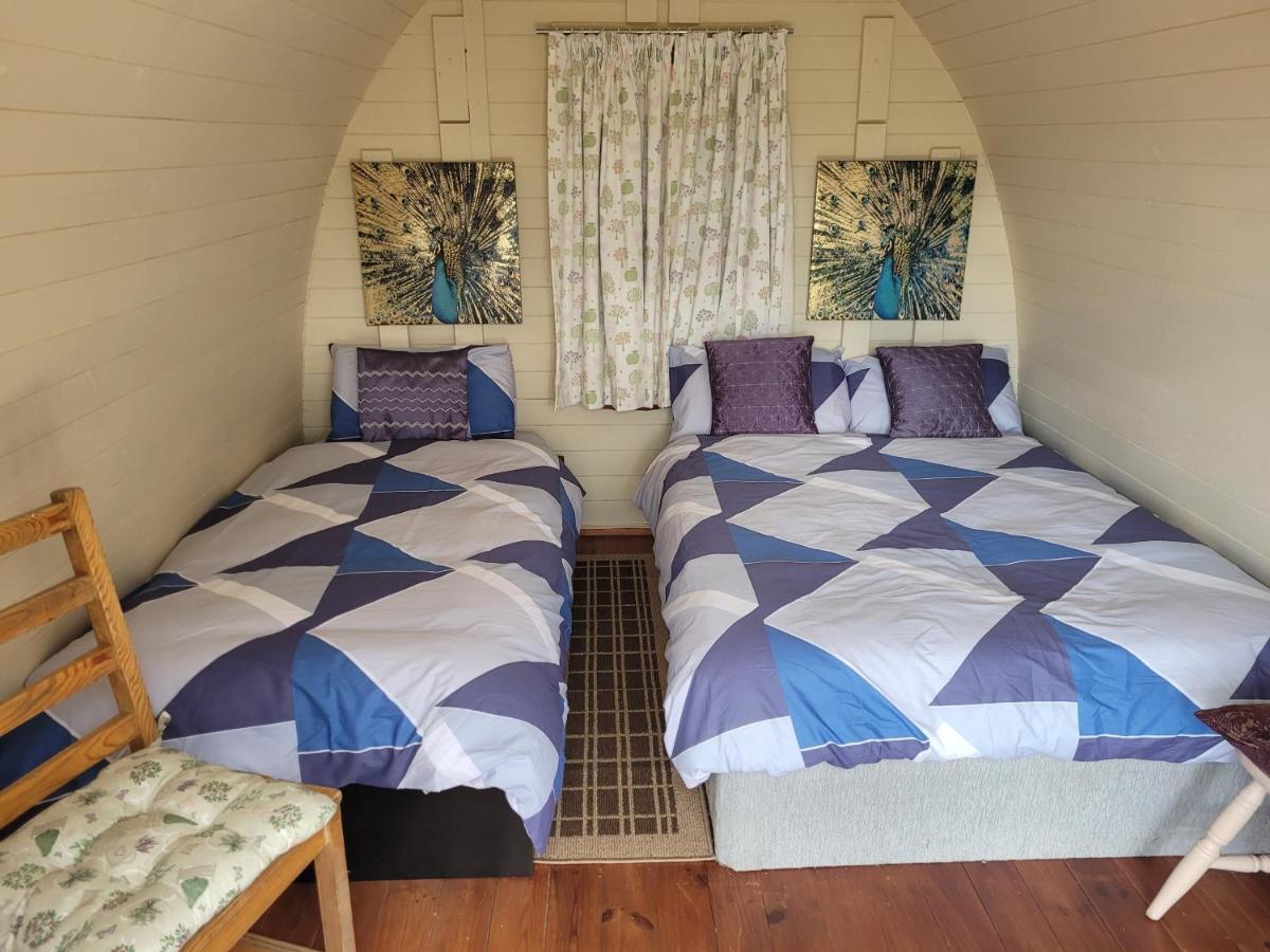 Shannon Estuary Glamping Effernan المظهر الخارجي الصورة