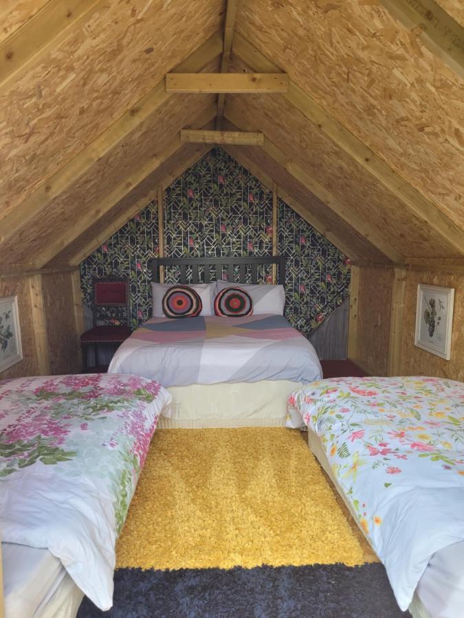 Shannon Estuary Glamping Effernan المظهر الخارجي الصورة