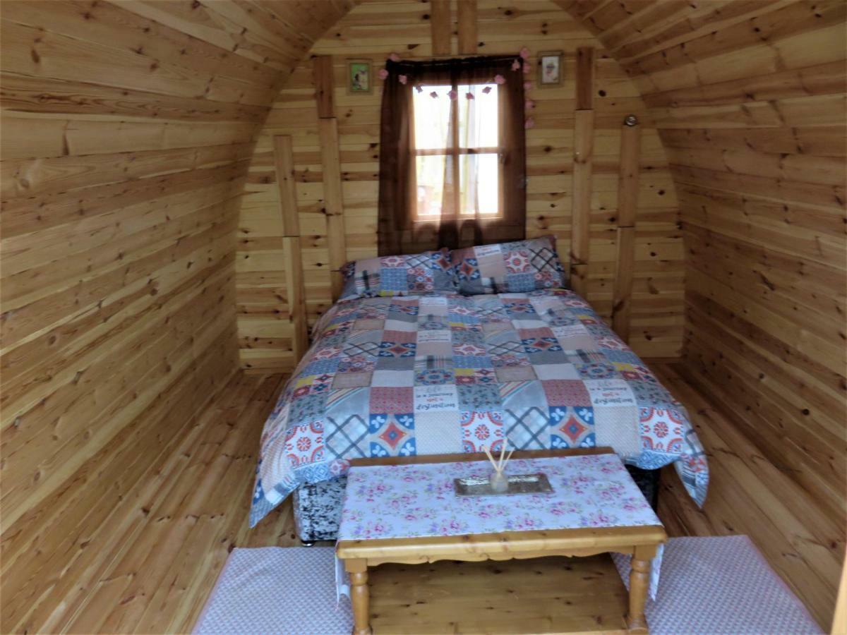 Shannon Estuary Glamping Effernan المظهر الخارجي الصورة