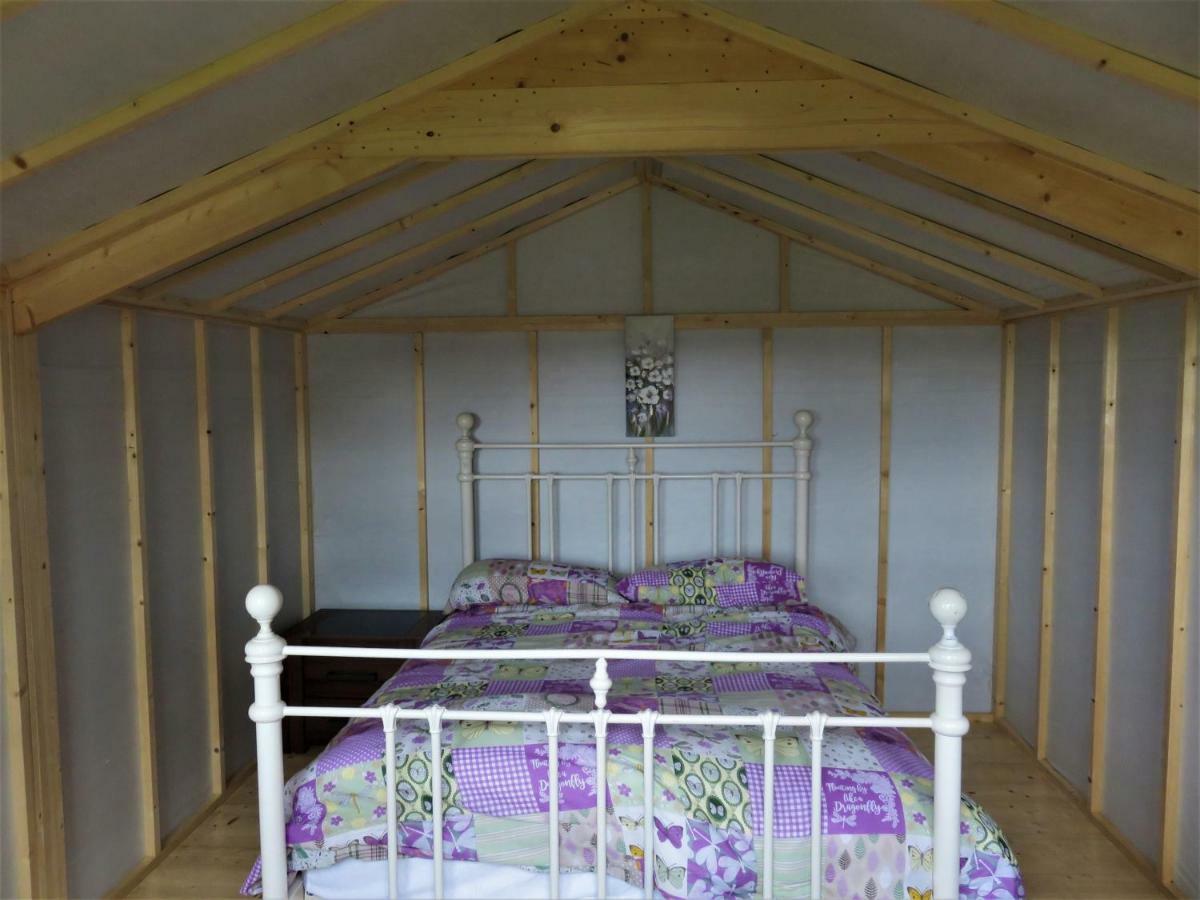 Shannon Estuary Glamping Effernan المظهر الخارجي الصورة