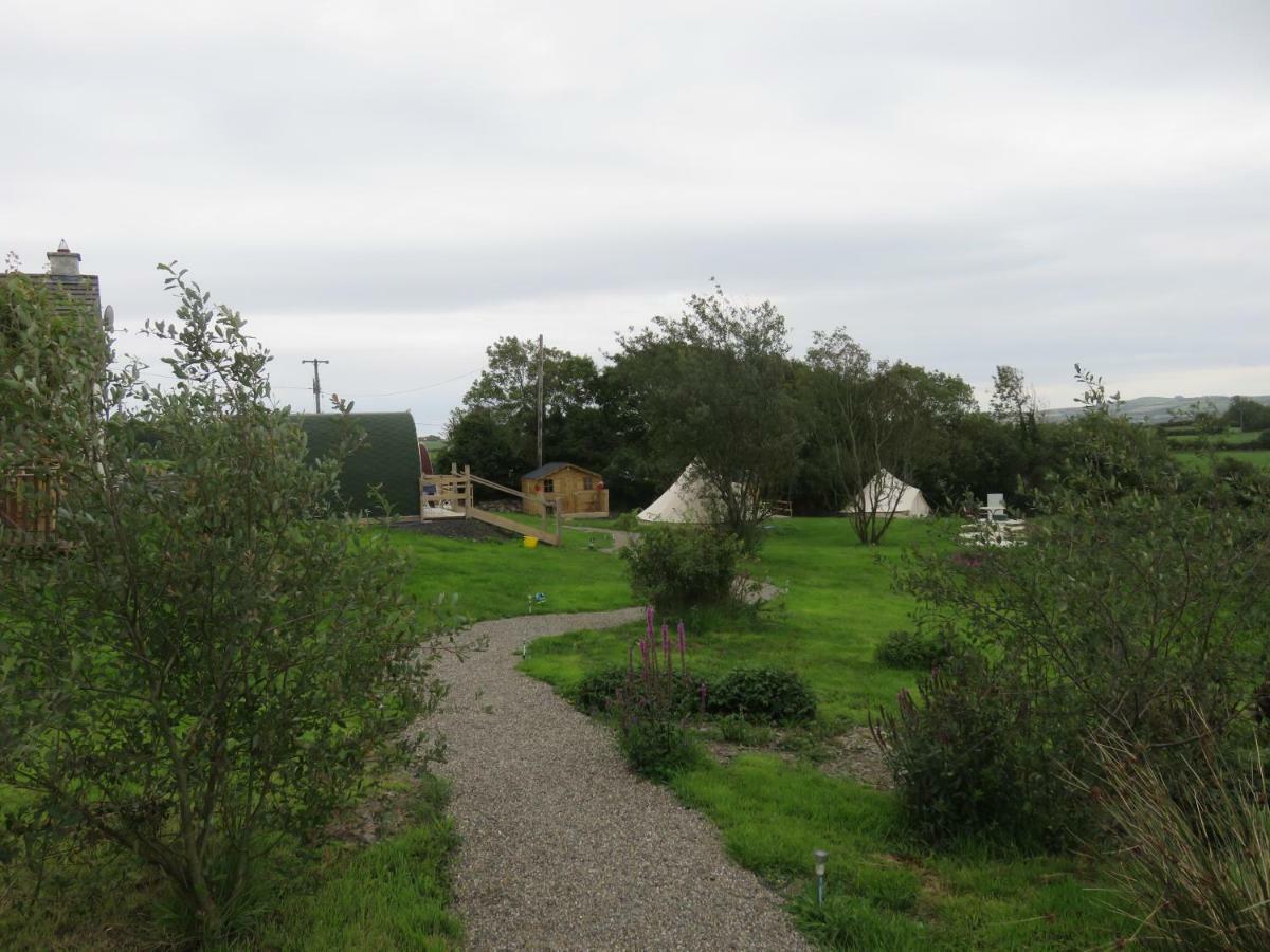 Shannon Estuary Glamping Effernan المظهر الخارجي الصورة