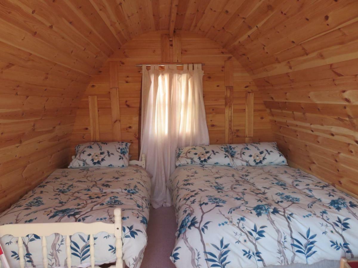 Shannon Estuary Glamping Effernan المظهر الخارجي الصورة