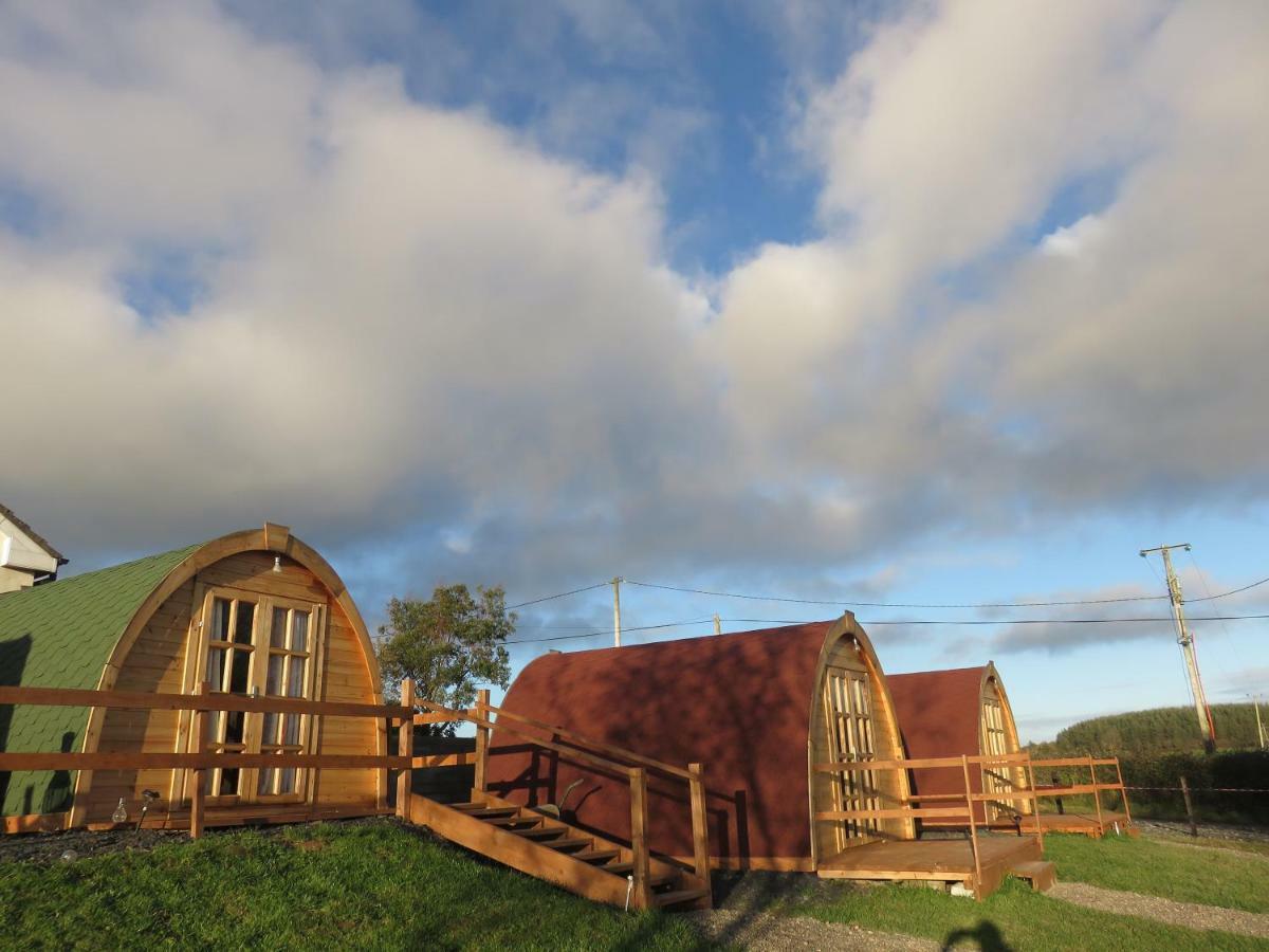 Shannon Estuary Glamping Effernan المظهر الخارجي الصورة