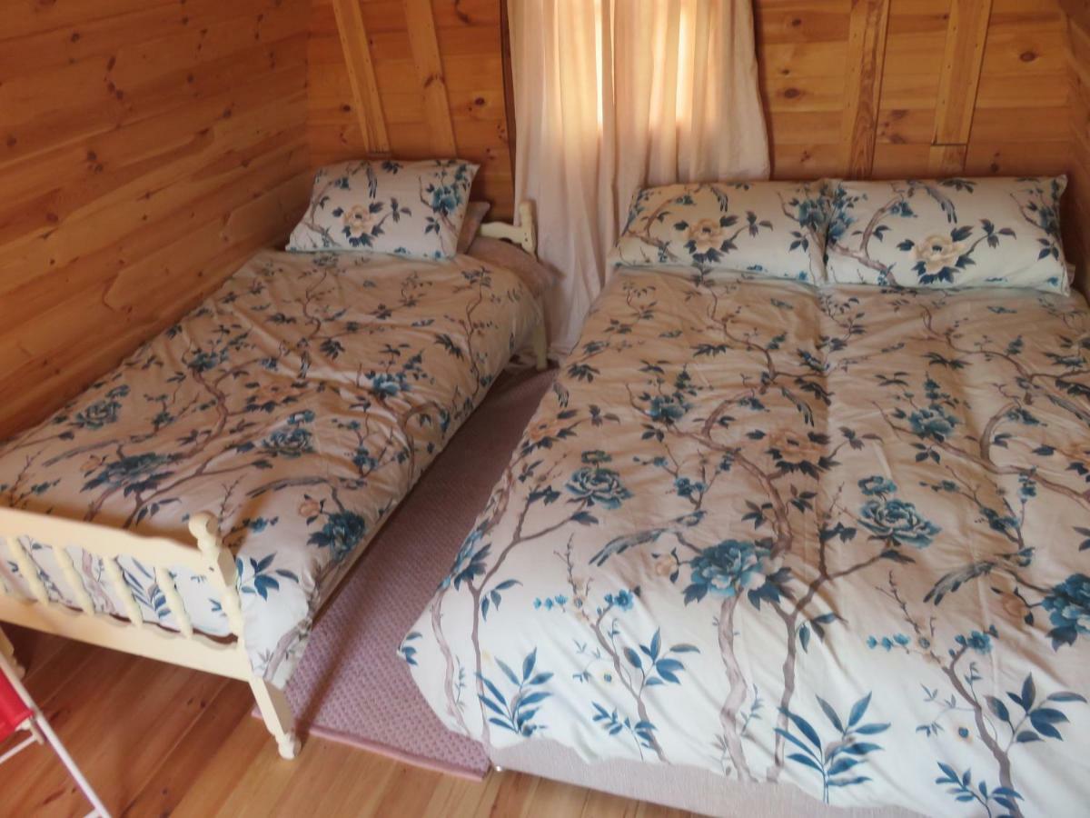 Shannon Estuary Glamping Effernan المظهر الخارجي الصورة
