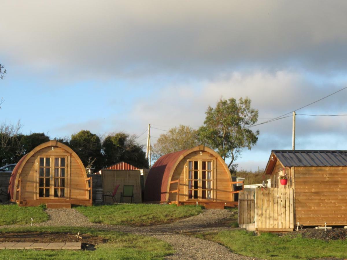 Shannon Estuary Glamping Effernan المظهر الخارجي الصورة