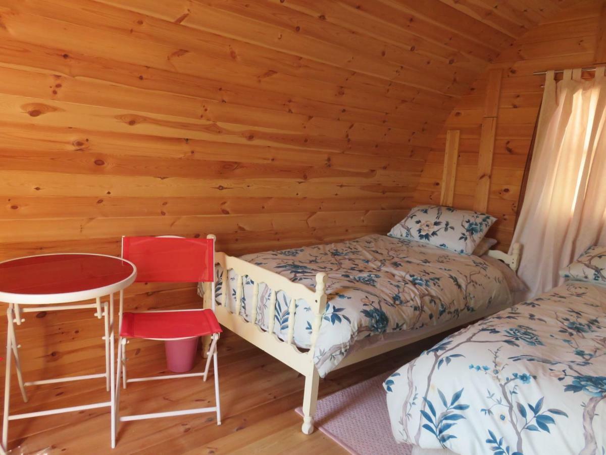 Shannon Estuary Glamping Effernan المظهر الخارجي الصورة
